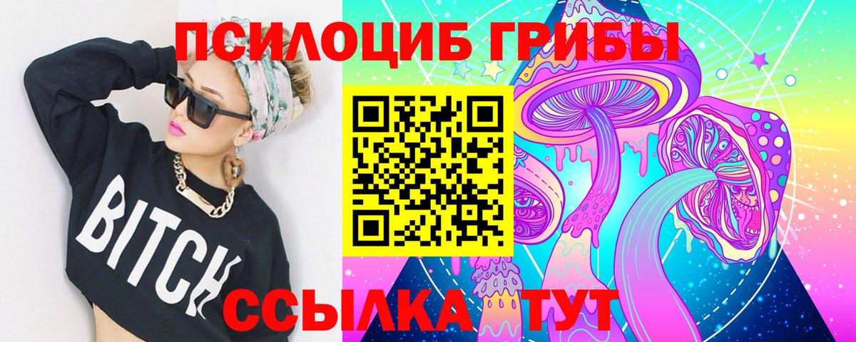 Псилоцибиновые грибы Psilocybe Грозный