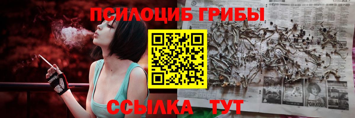 Галлюциногенные грибы Psilocybine cubensis  Вход с VPN  Грозный 